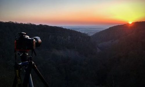 Naturfotografering vid Söderåsen